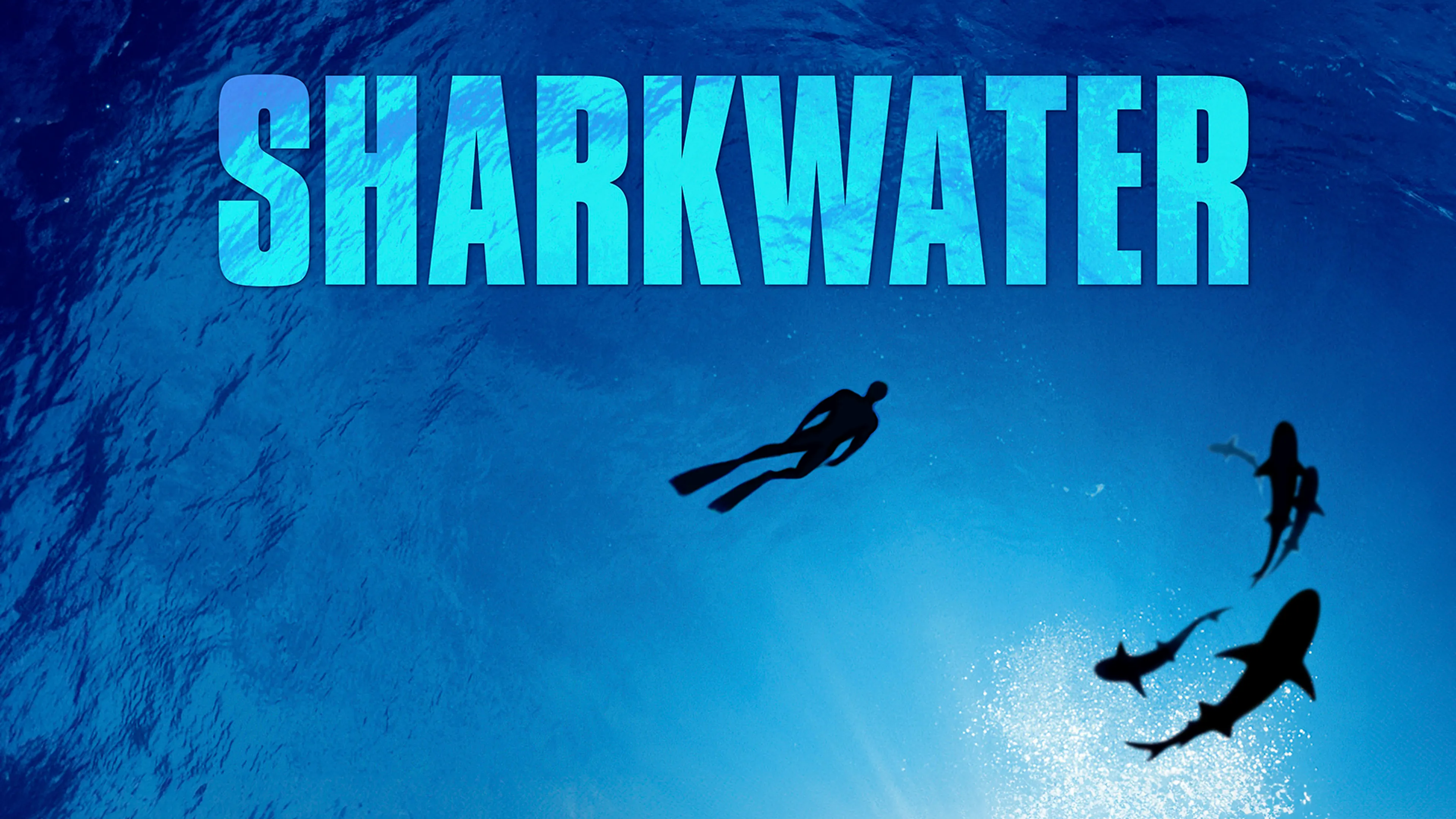 Sharkwater poster